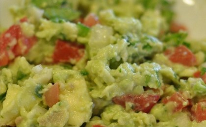 Guacamole 101 2