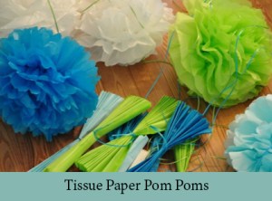 TISSUE PAPER POM POMS2